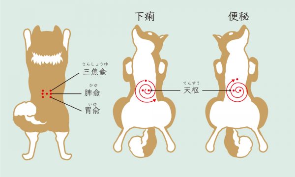 放っておくと一大事 便秘と下痢の対処法 老犬 老猫と暮らす