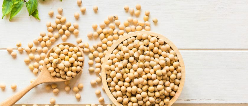 大豆の薬膳的効能と使い方