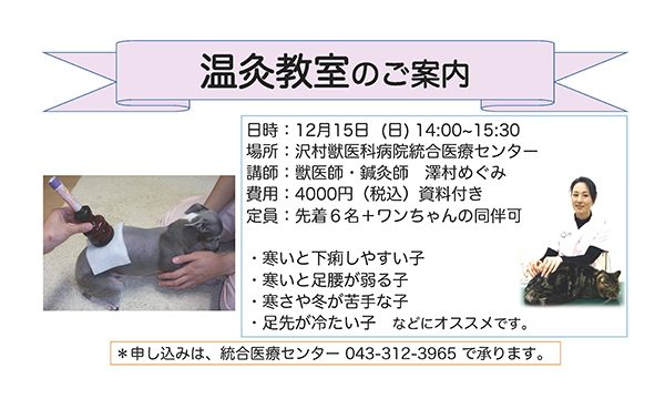 沢村獣医科病院 統合医療センターにて 【飼い主様向け】温灸教室を開催します