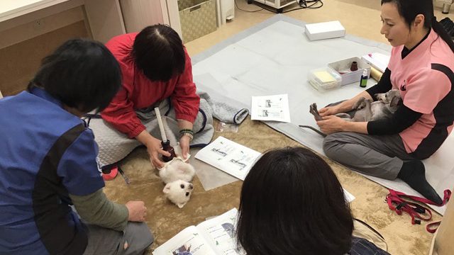 沢村獣医科病院統合医療センターにて【飼い主様向け】温灸教室を開催しました