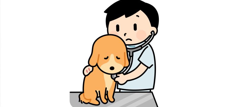 健康診断で、腎臓の数値が少しずつ上がってきたら