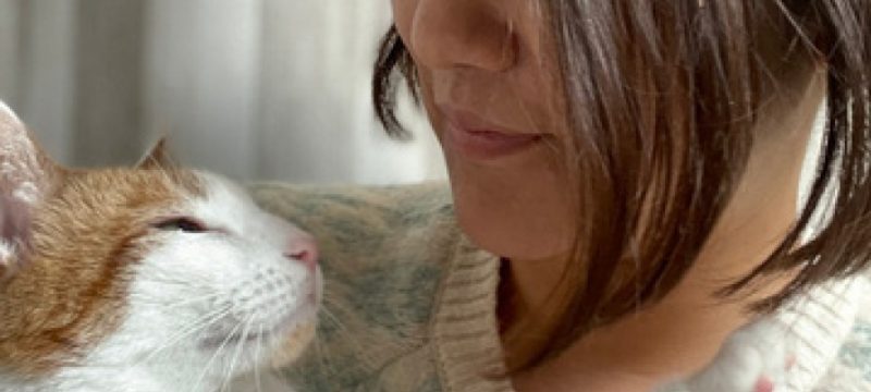 ペットの中医学的温活　~ペットの目温活のススメ〜