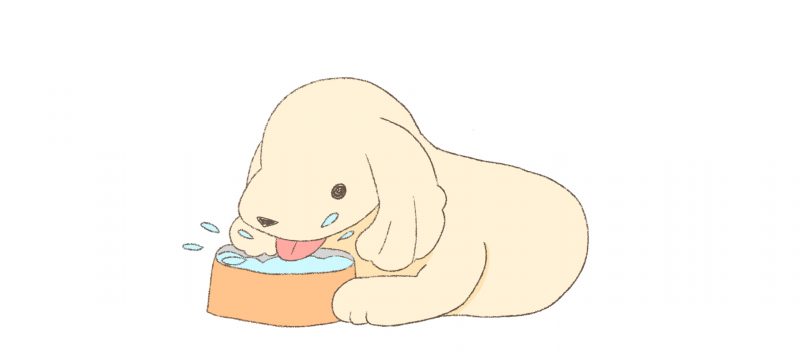 お水が欲しい子？飲みたがらない子？