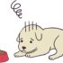 年齢とともに、愛犬・愛猫の食欲が<br>だんだん減ってきた…