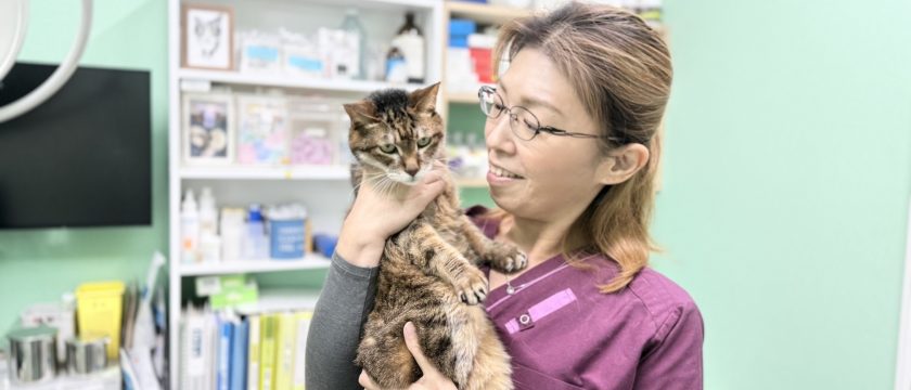 ペットクリニッククローバー　藤井和恵　獣医師