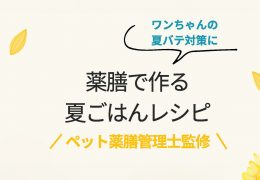 7/19（土）兵庫県芦屋市　スイミー動物病院にて【飼い主様向け】ペット薬膳セミナーを開催します