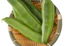 ナタマメの薬膳的効能と使い方