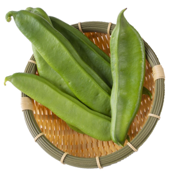 ナタマメの薬膳的効能と使い方
