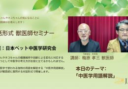 飼い主様向け オンライン中医学セミナーを開催しました