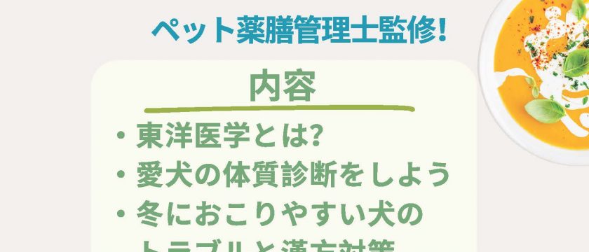 12/13(土)兵庫県芦屋市 スイミー動物病院にて【飼い主様向け】ペット薬膳セミナーを開催します