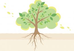 🌿いのちをそっと支えるエネルギータンク🌿