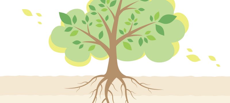 🌿いのちをそっと支えるエネルギータンク🌿