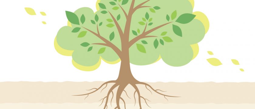 🌿いのちをそっと支えるエネルギータンク🌿