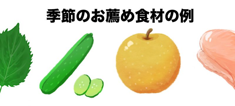 うちの子に合う食べ物は何？