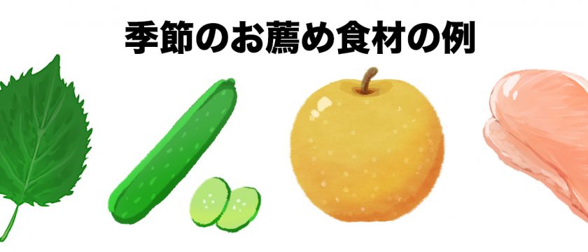 うちの子に合う食べ物は何?
