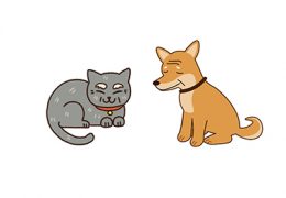 「老害」と言うなかれ <BR>~齢をとったら頑固になりました~