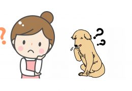 うちのワンちゃんが認知症？