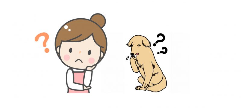 うちのワンちゃんが認知症？