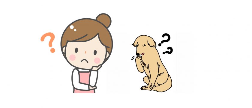 うちのワンちゃんが認知症？