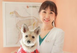 アミカル動物病院　鷺坂三香子　獣医師