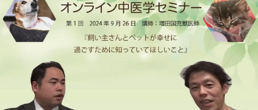 飼い主様向け　オンライン中医学セミナーを開催しました