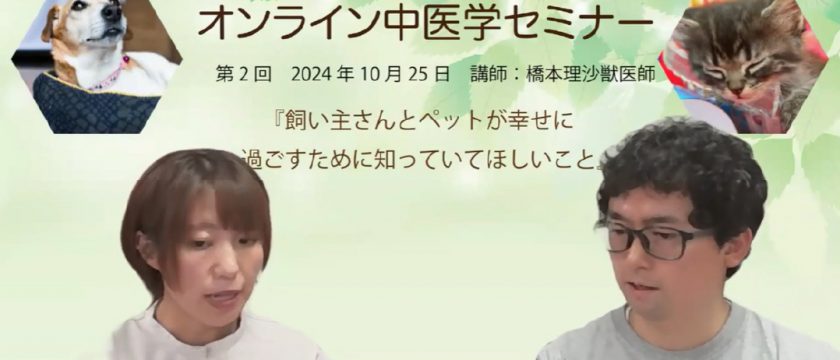 飼い主様向け　オンライン中医学セミナーを開催しました