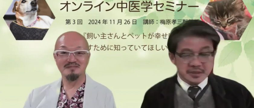 飼い主様向け　オンライン中医学セミナーを開催しました