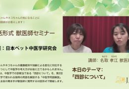 飼い主様向け オンライン中医学セミナーを開催しました