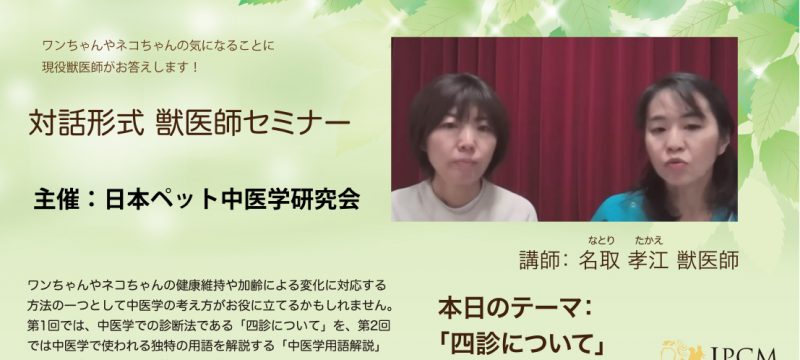 飼い主様向け　オンライン中医学セミナーを開催しました