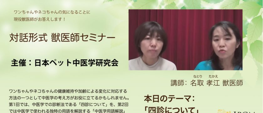 飼い主様向け　オンライン中医学セミナーを開催しました
