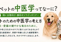 飼い主様向け　オンライン中医学セミナーを開催します