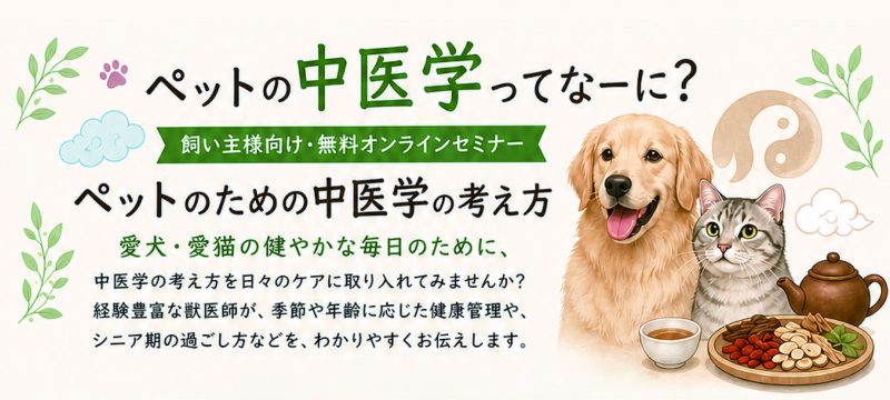 飼い主様向け　オンライン中医学セミナーを開催します