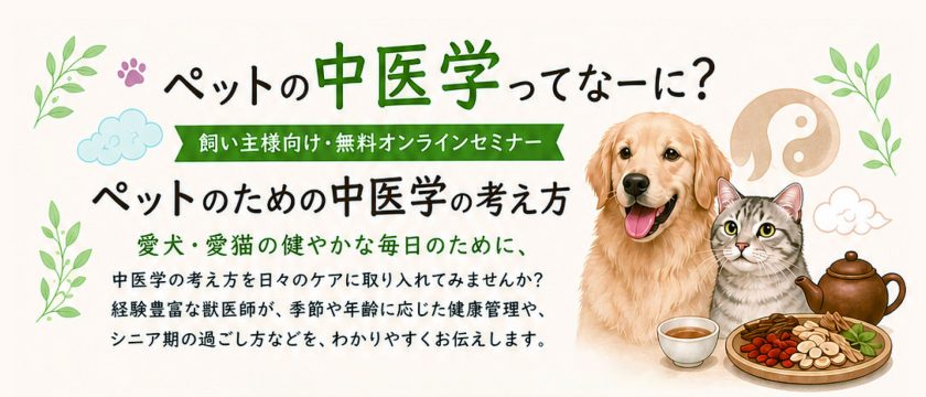 飼い主様向け　オンライン中医学セミナーを開催します