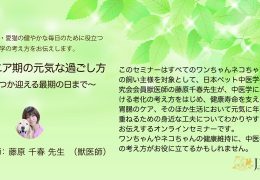 飼い主様向け　オンライン中医学セミナーを開催しました