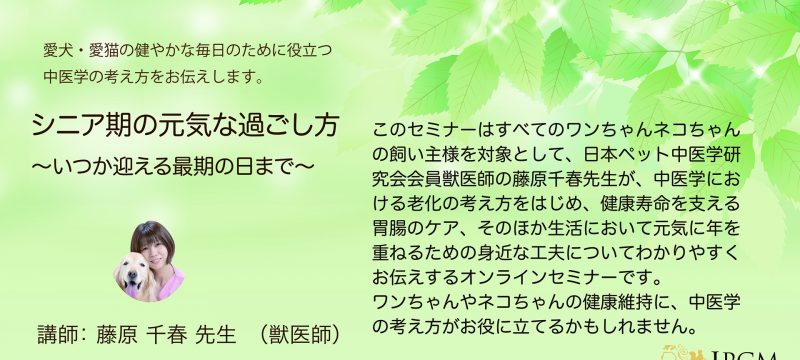飼い主様向け　オンライン中医学セミナーを開催しました