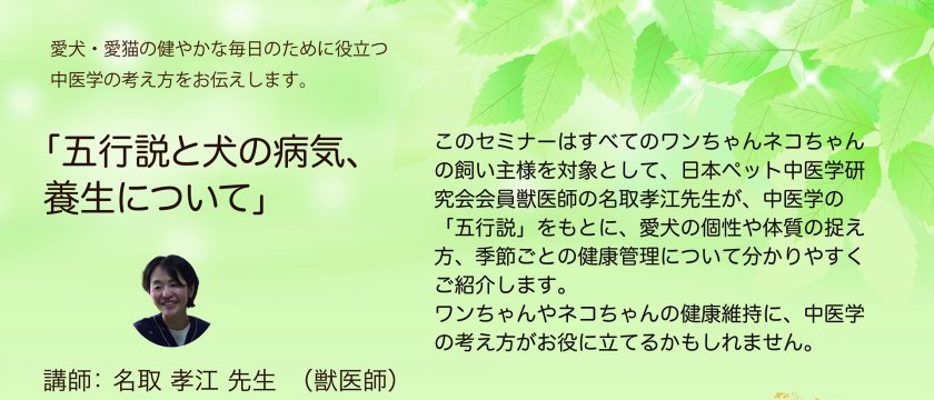 飼い主様向け　オンライン中医学セミナーを開催しました
