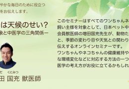 飼い主様向け　オンライン中医学セミナーを開催しました